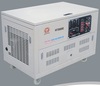 WT25000SE 20KW Four sylinder Gasoline generator whith electric start and three phase