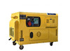  SJ8600-T 8KW Diesel generator Silent Type